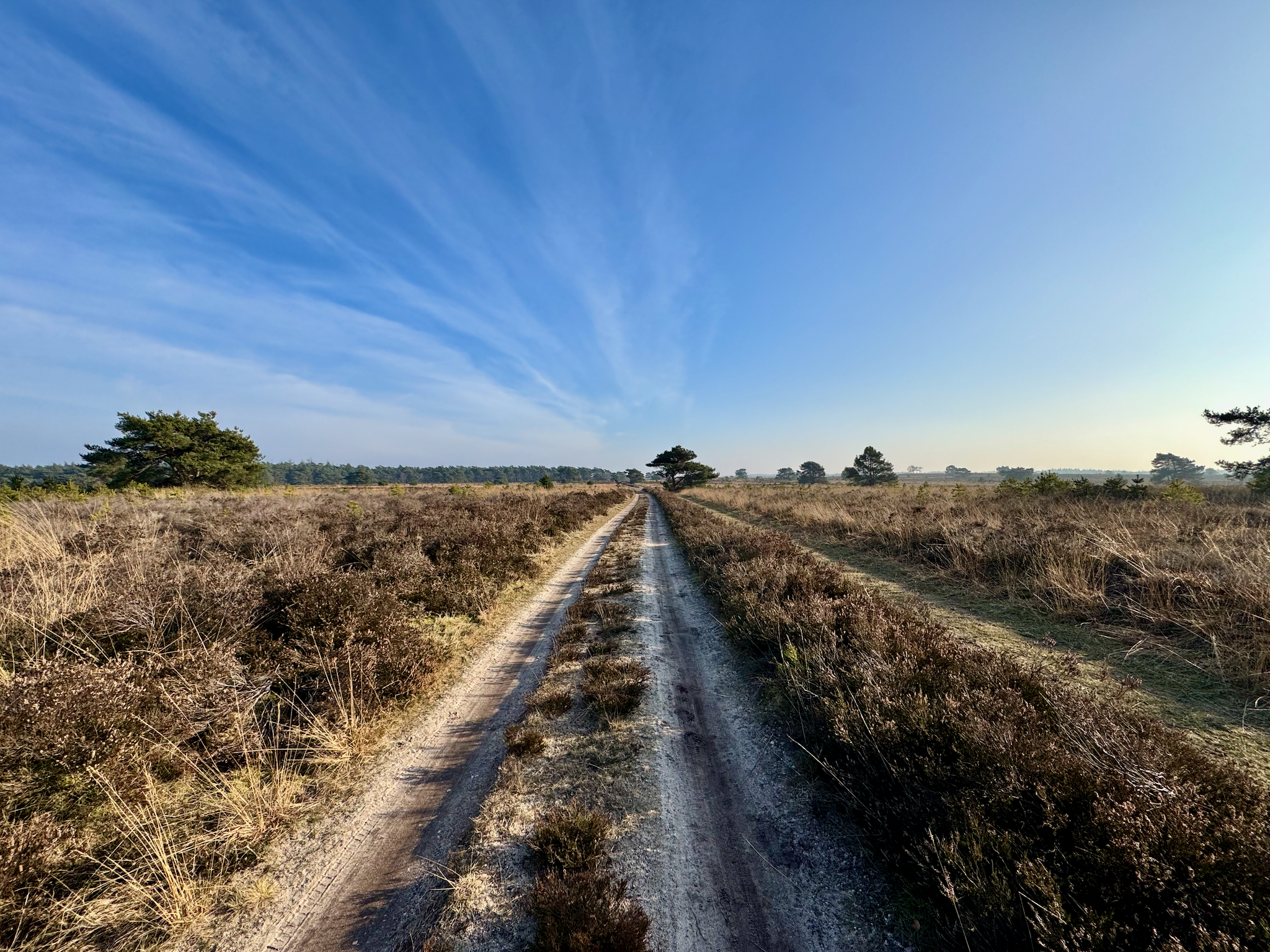 Apple iPhone 15 Pro, 1551800/699009mm