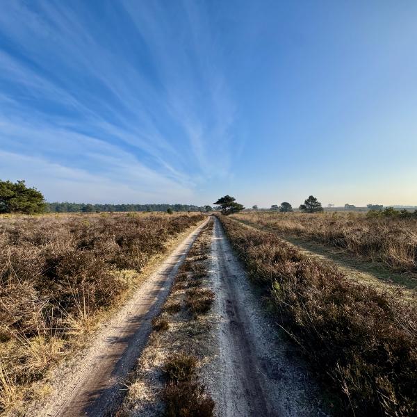 Apple iPhone 15 Pro, 1551800/699009mm