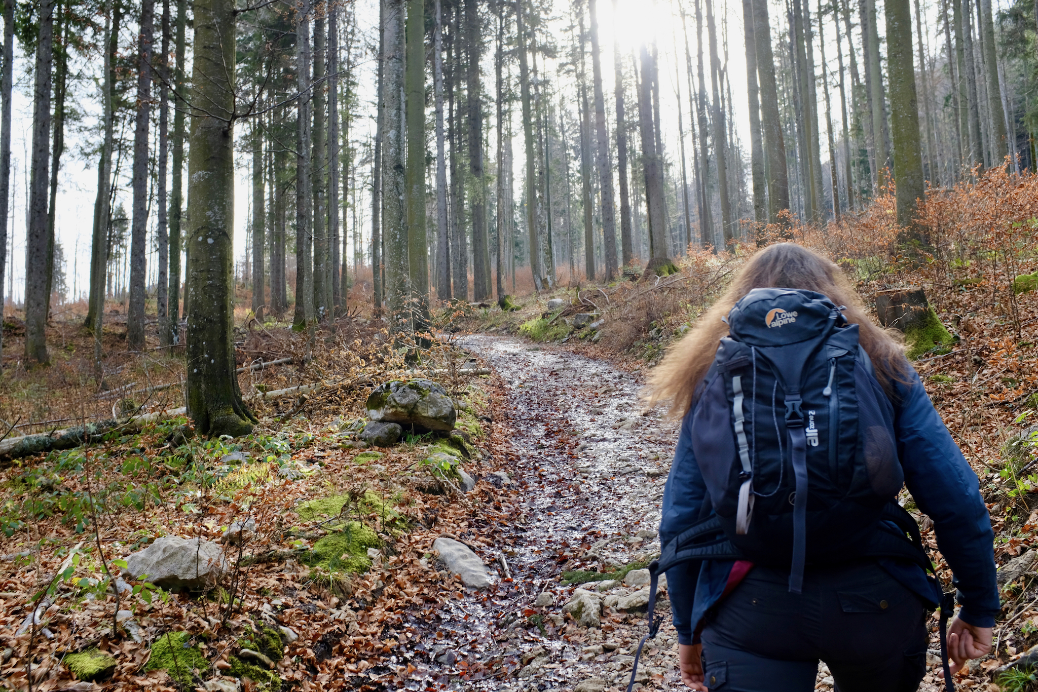 FUJIFILM X100F, 23mm, 1/150s, f/5.6, ISO 400