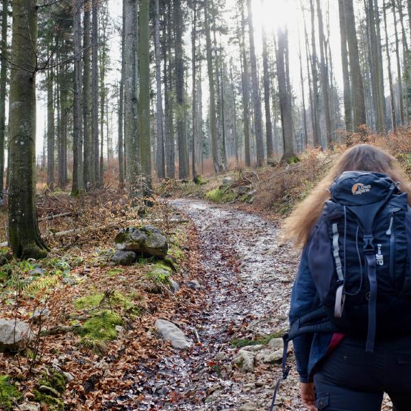 FUJIFILM X100F, 23mm