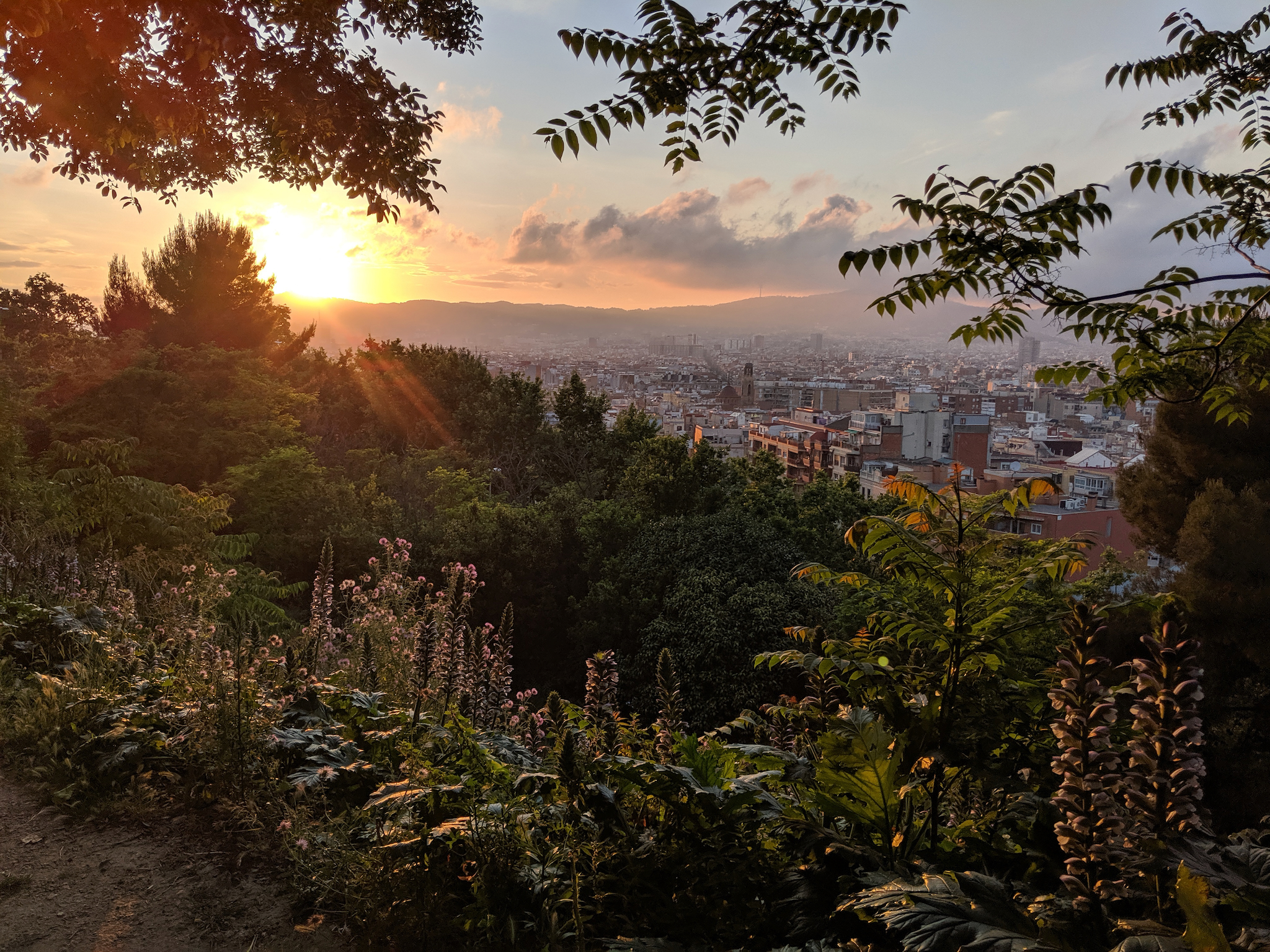 Google Pixel 2, 4mm, 1/2300s, f/1.8, ISO 62