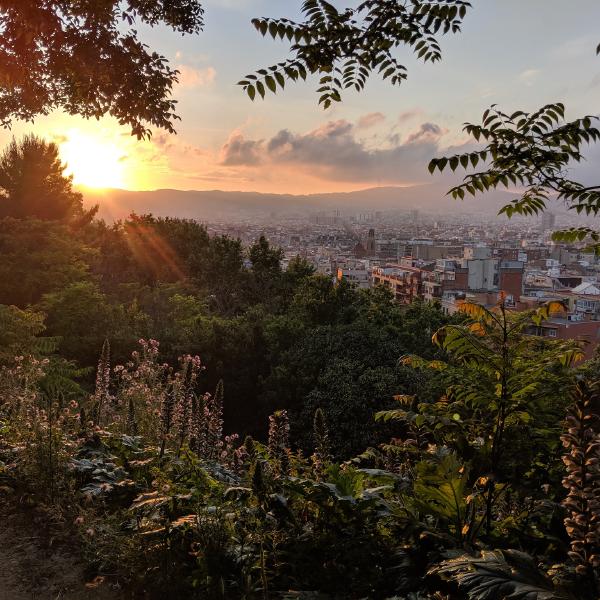 Google Pixel 2, 2221/500mm