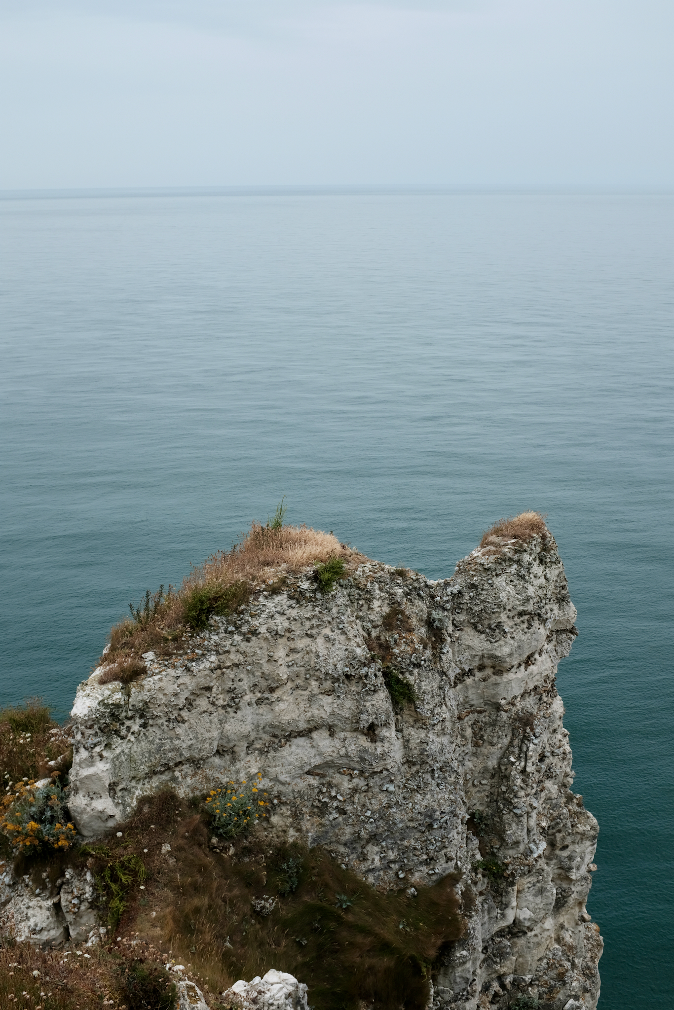 FUJIFILM X100F, 23mm, 1/550s, f/8.0, ISO 400