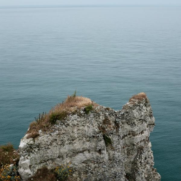 FUJIFILM X100F, 23mm