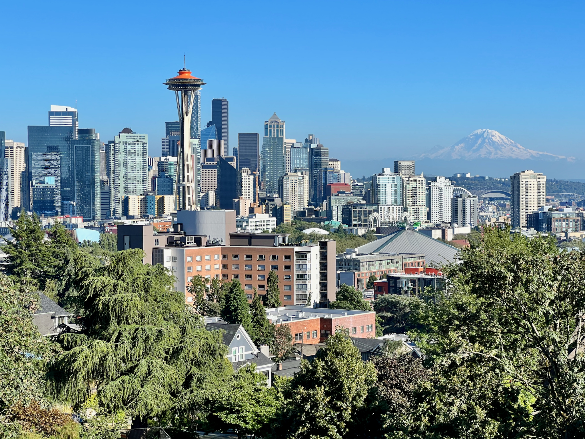 Apple iPhone 13 Pro, 9mm, 1/867s, f/2.8, ISO 32