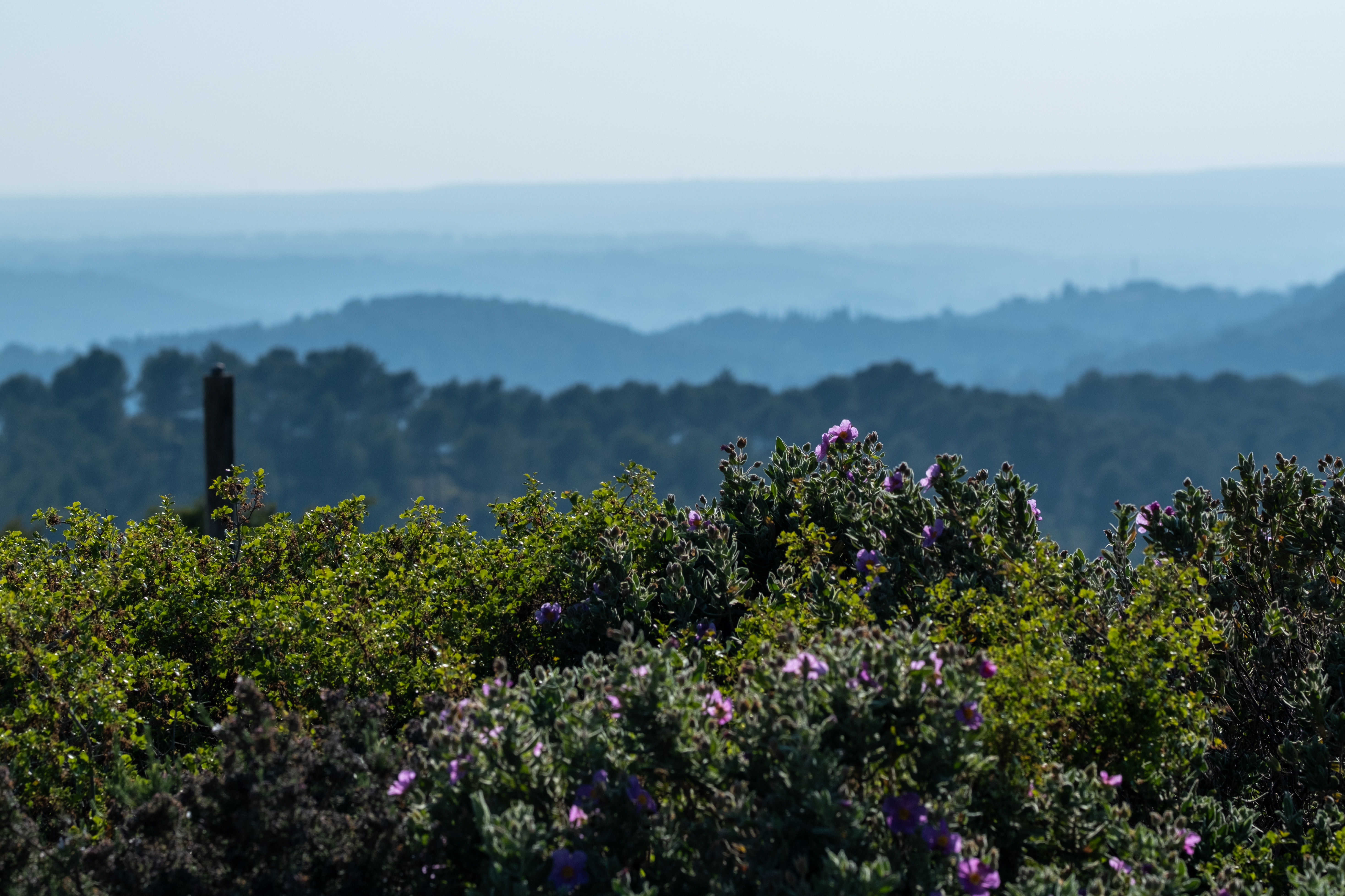 FUJIFILM X-T5, 90mm, 1/480s, f/5.6, ISO 125