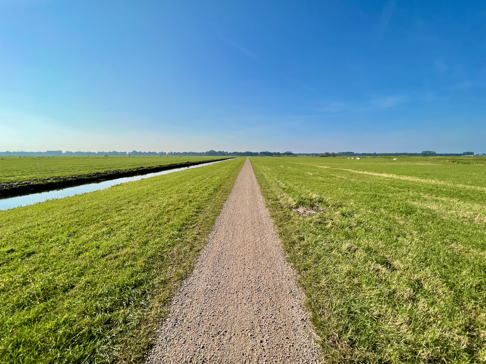 Apple iPhone 13 Pro, 2mm, 1/2481s, f/1.8, ISO 32