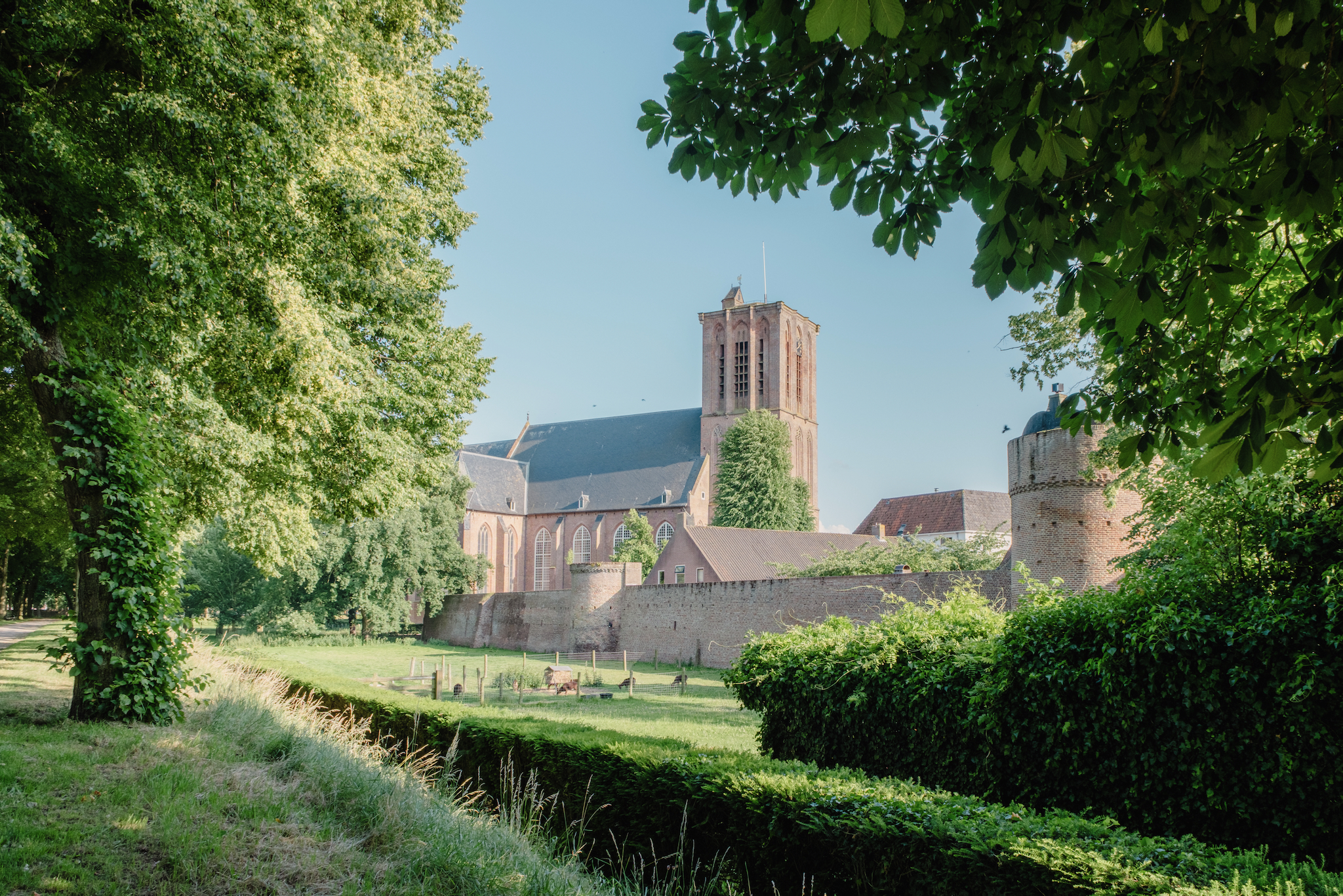 FUJIFILM X-T5, 16mm, 1/55s, f/8.0, ISO 125