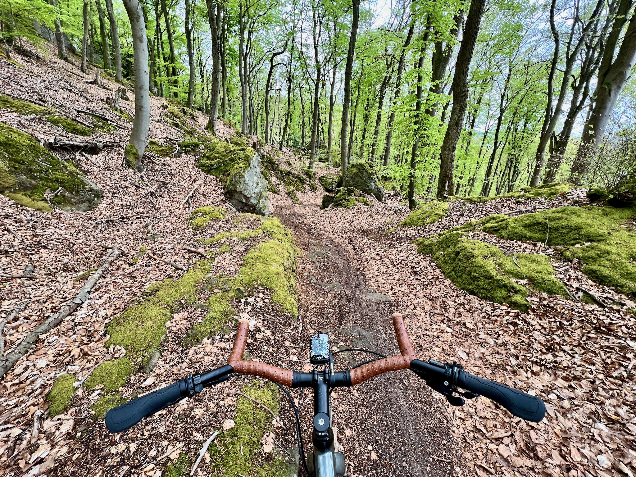 Apple iPhone 13 Pro, 2mm, 1/99s, f/1.8, ISO 64