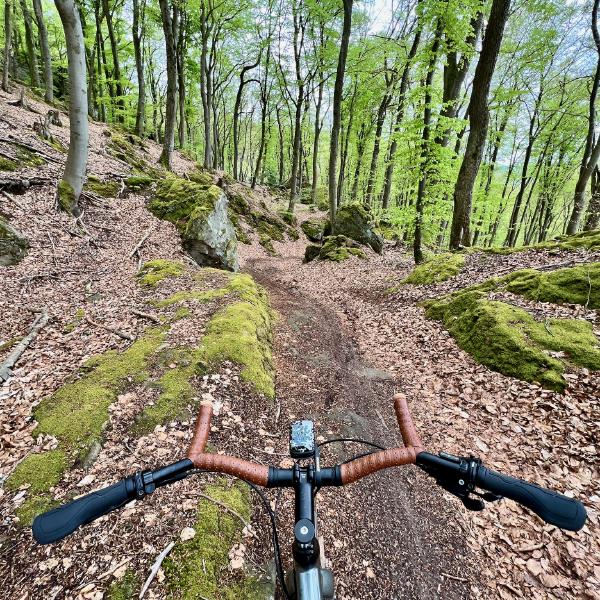 Apple iPhone 13 Pro, 157/100mm