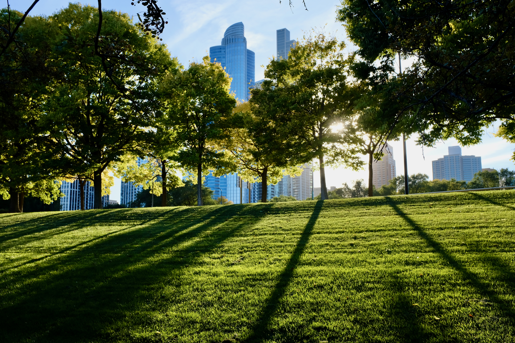 FUJIFILM X100F, 23mm, 1/320s, f/8.0, ISO 400