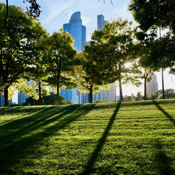 FUJIFILM X100F, 23mm