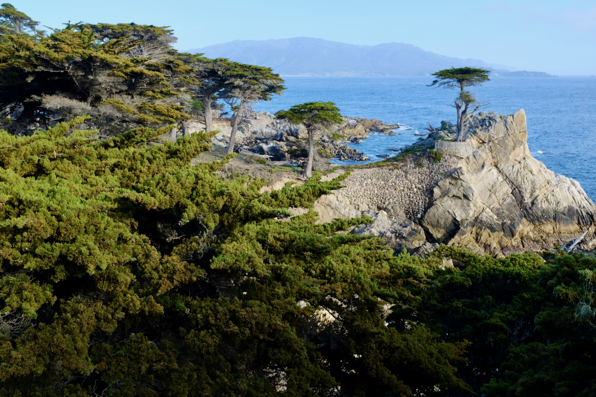 FUJIFILM X100F, 23mm, 1/200s, f/8.0, ISO 400