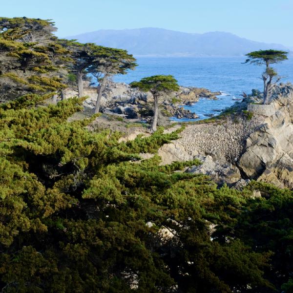 FUJIFILM X100F, 23mm