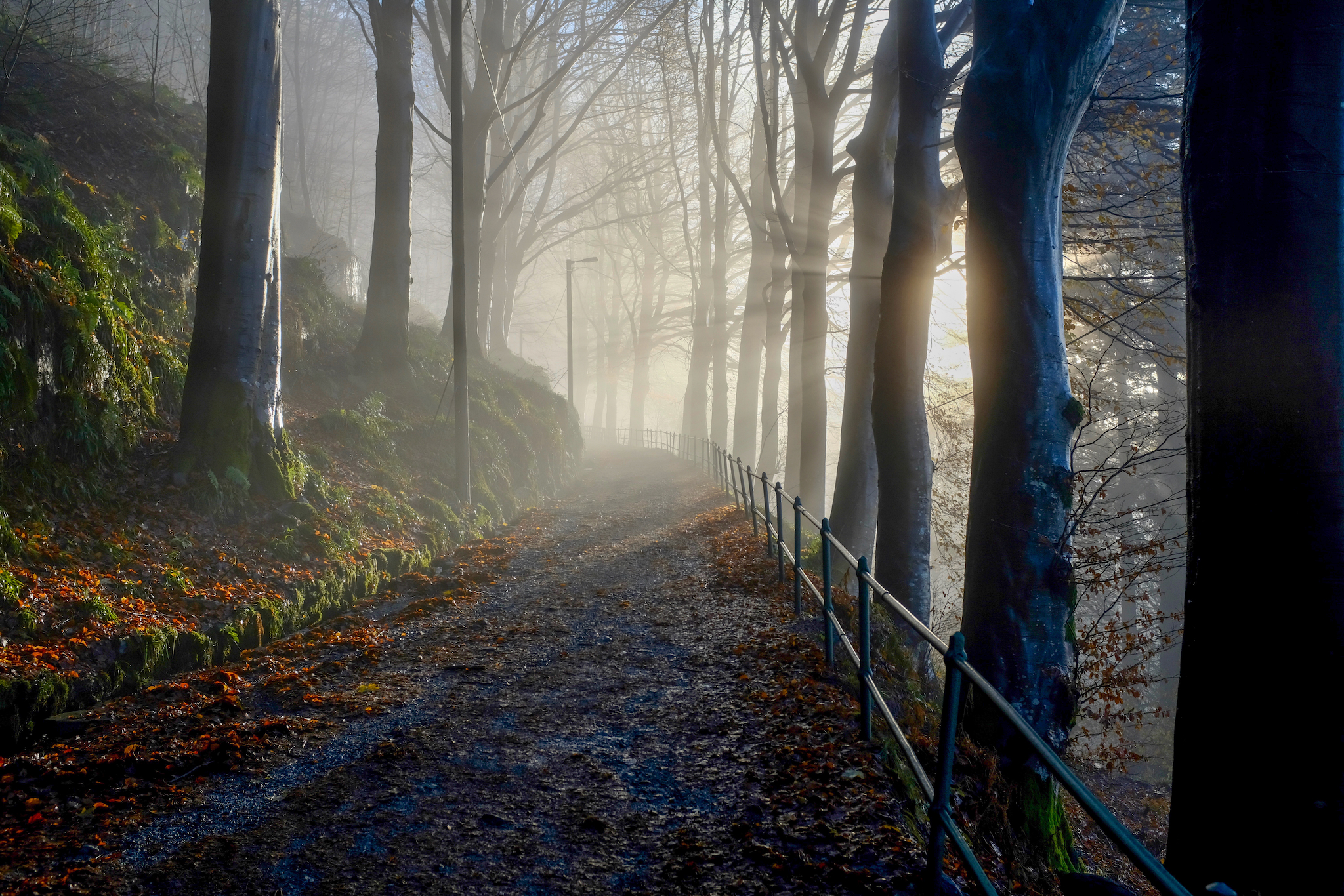 FUJIFILM X100F, 23mm, 1/500s, f/5.0, ISO 400