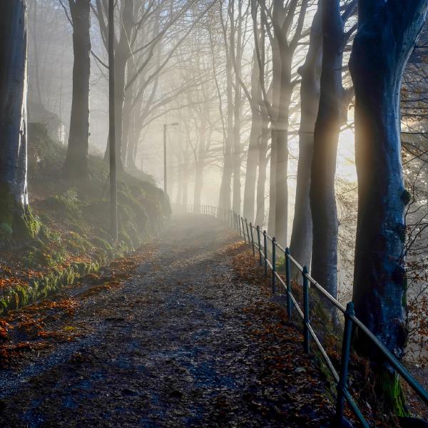 FUJIFILM X100F, 23mm