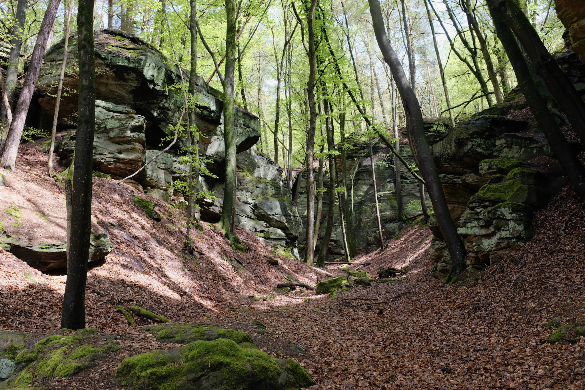 FUJIFILM X100F, 23mm, 1/100s, f/5.6, ISO 400