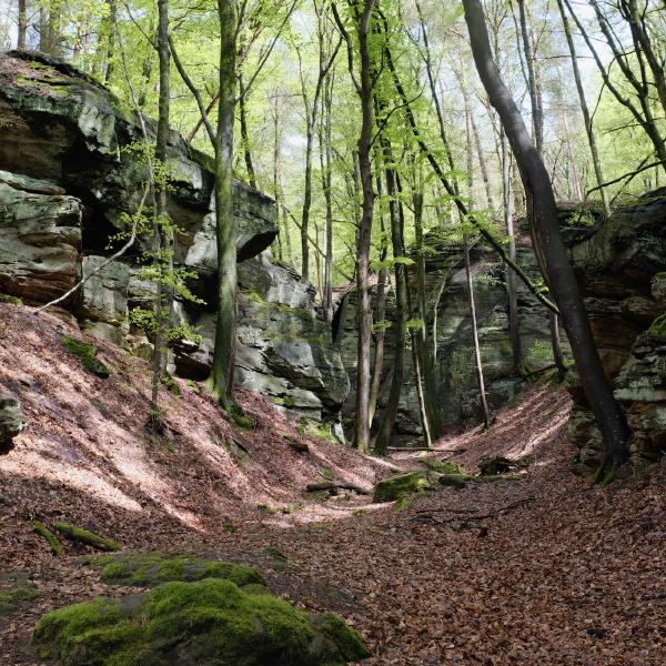 FUJIFILM X100F, 23mm