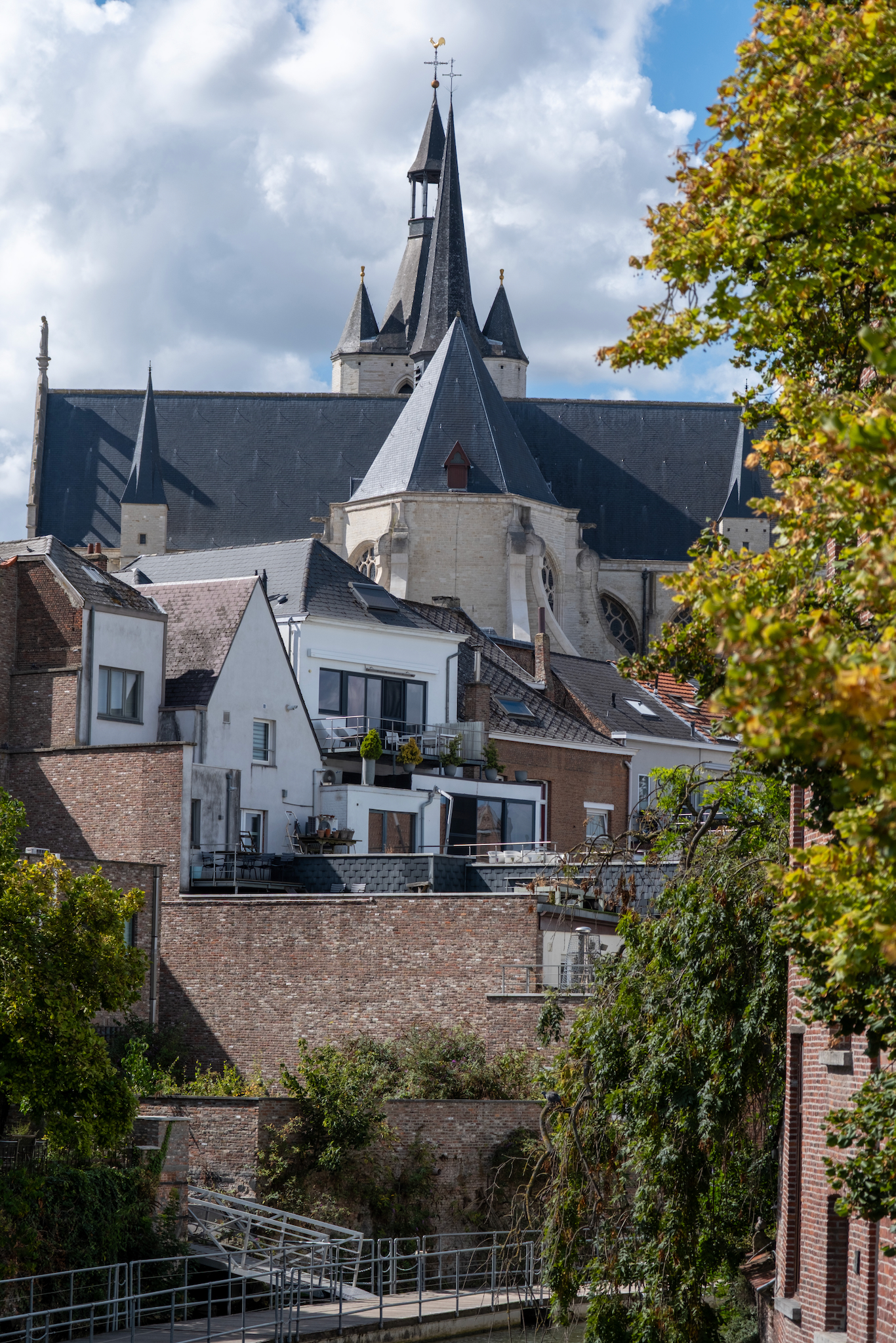 FUJIFILM X-T5, 61mm, 1/850s, f/4.0, ISO 125