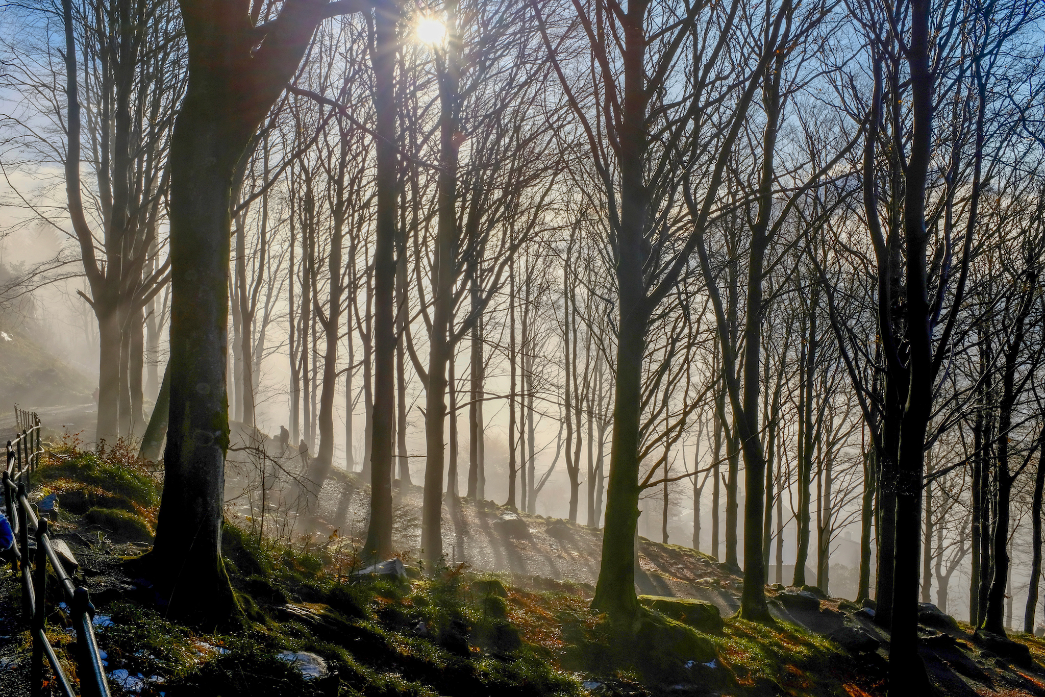 FUJIFILM X100F, 23mm, 1/180s, f/16.0, ISO 400