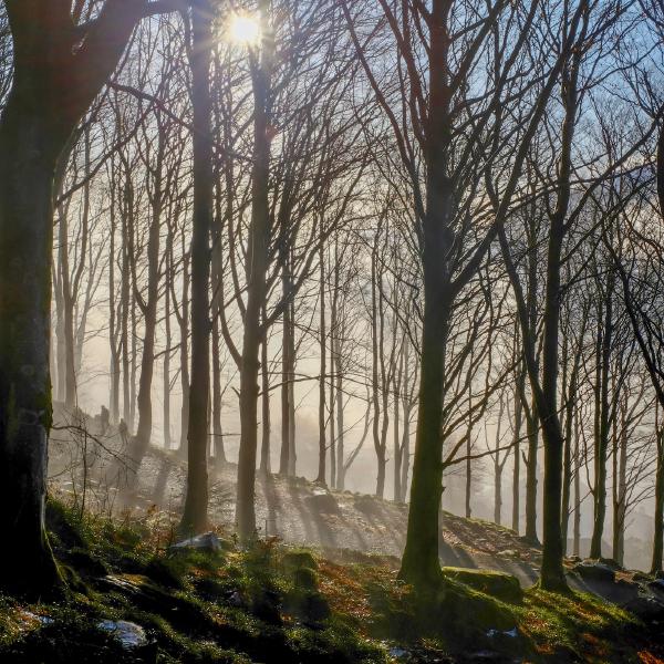 FUJIFILM X100F, 23mm