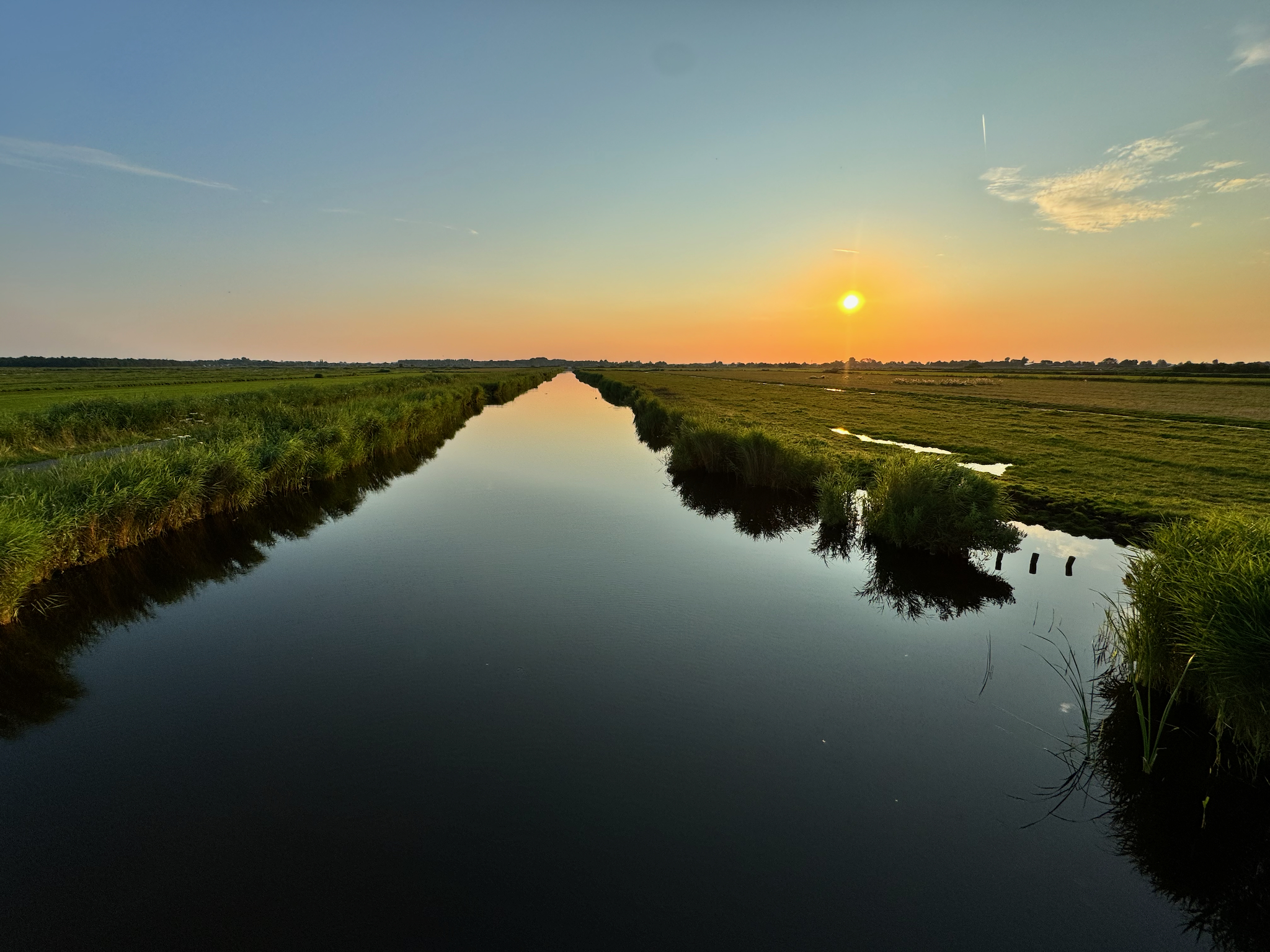 Apple iPhone 15 Pro, 2mm, 1/1256s, f/2.2, ISO 50