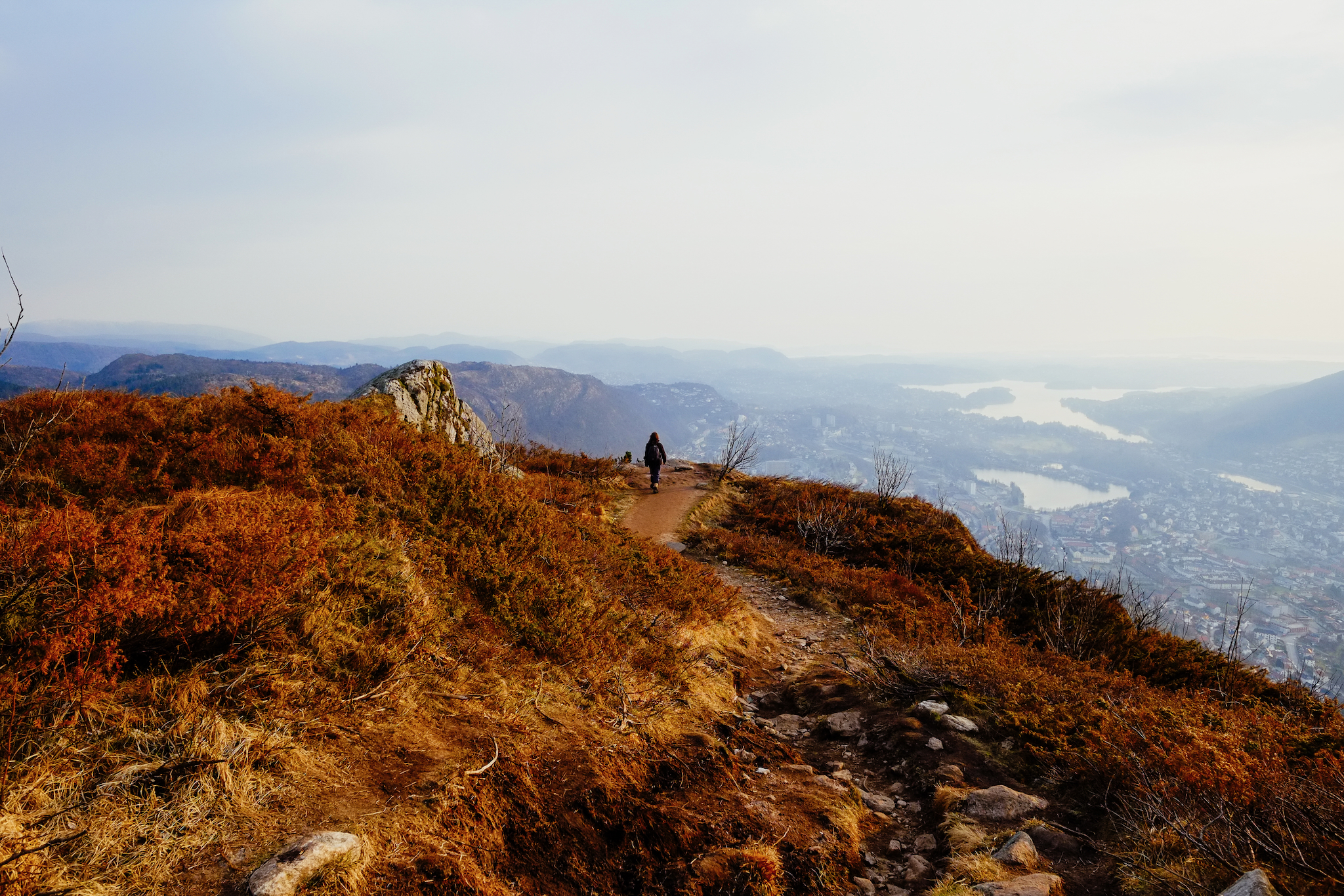 FUJIFILM X-E1, 14mm, 1/1400s, f/5.6, ISO 800