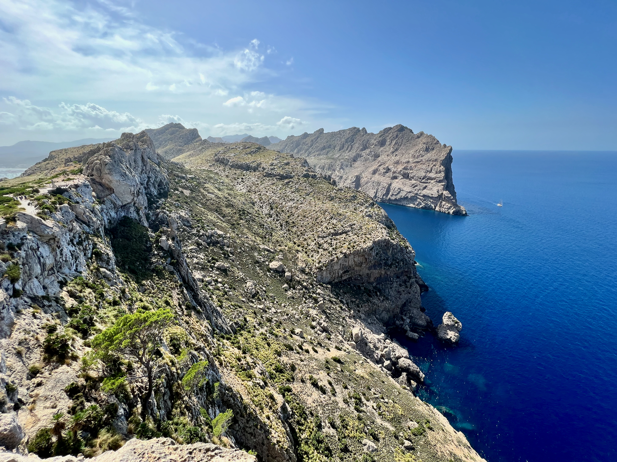 Apple iPhone 13 Pro, 2mm, 1/779s, f/1.8, ISO 32