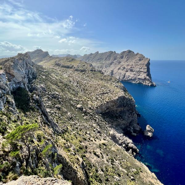 Apple iPhone 13 Pro, 157/100mm