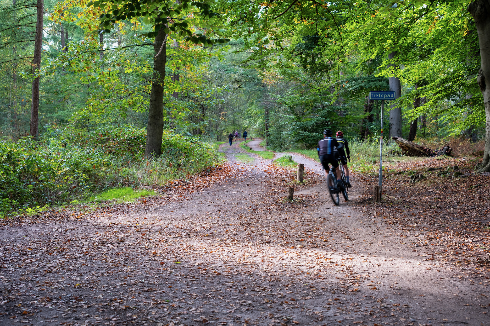 FUJIFILM X-T5, 33mm, 1/30s, f/3.2, ISO 125