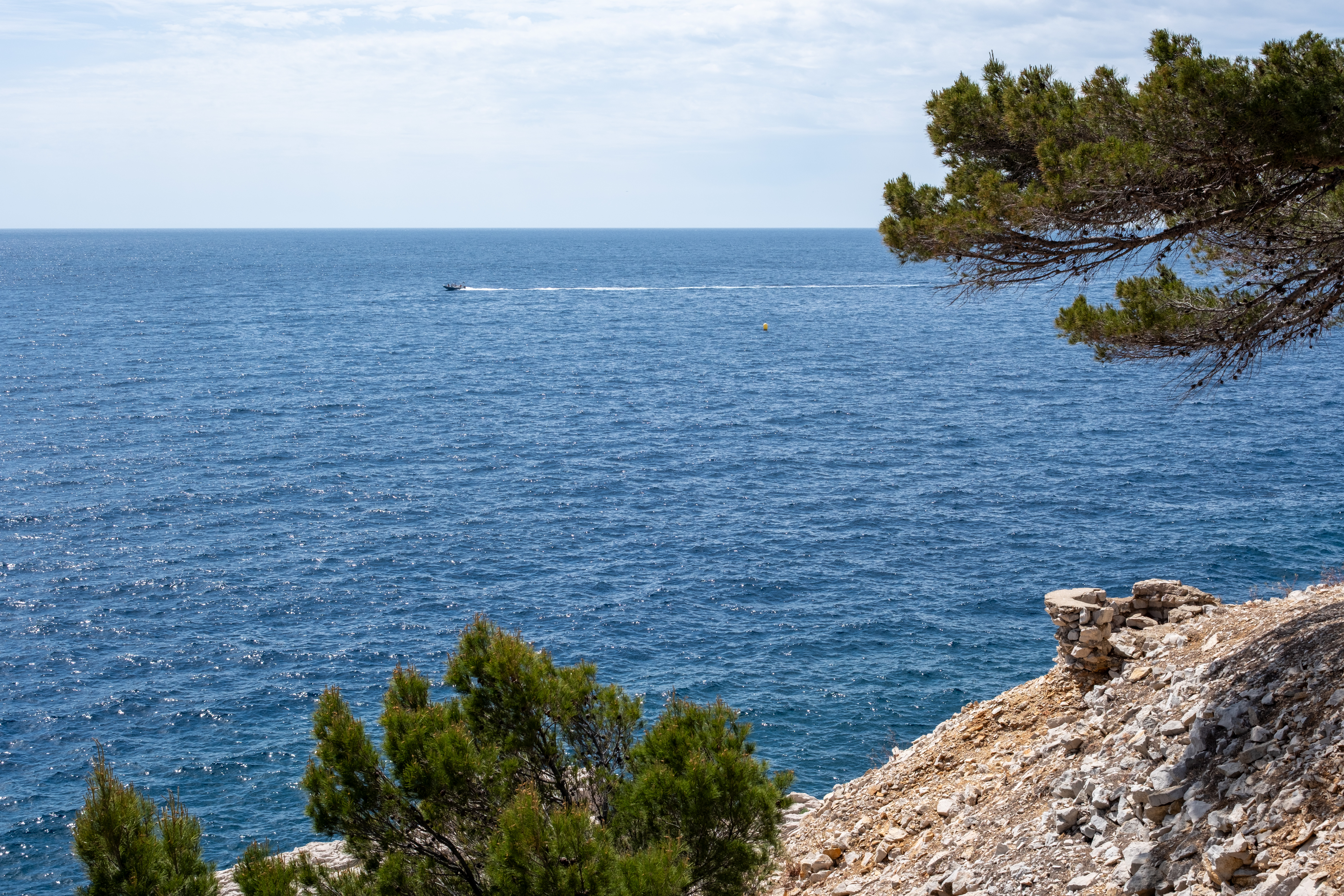 FUJIFILM X-T5, 33mm, 1/350s, f/8.0, ISO 125