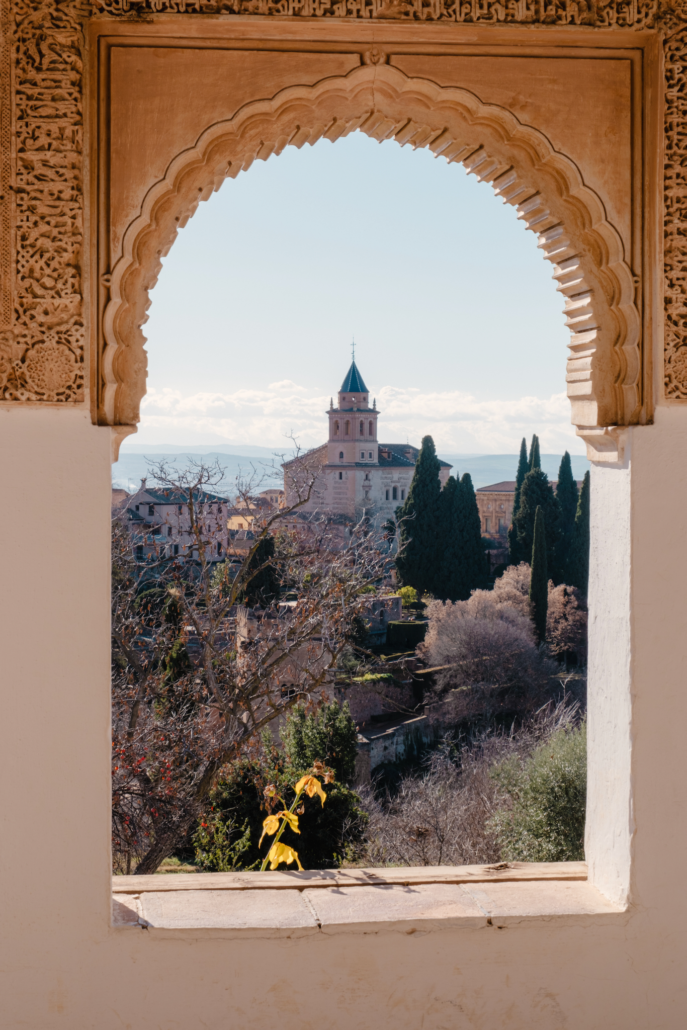 FUJIFILM X-T5, 38mm, 1/90s, f/11.0, ISO 125