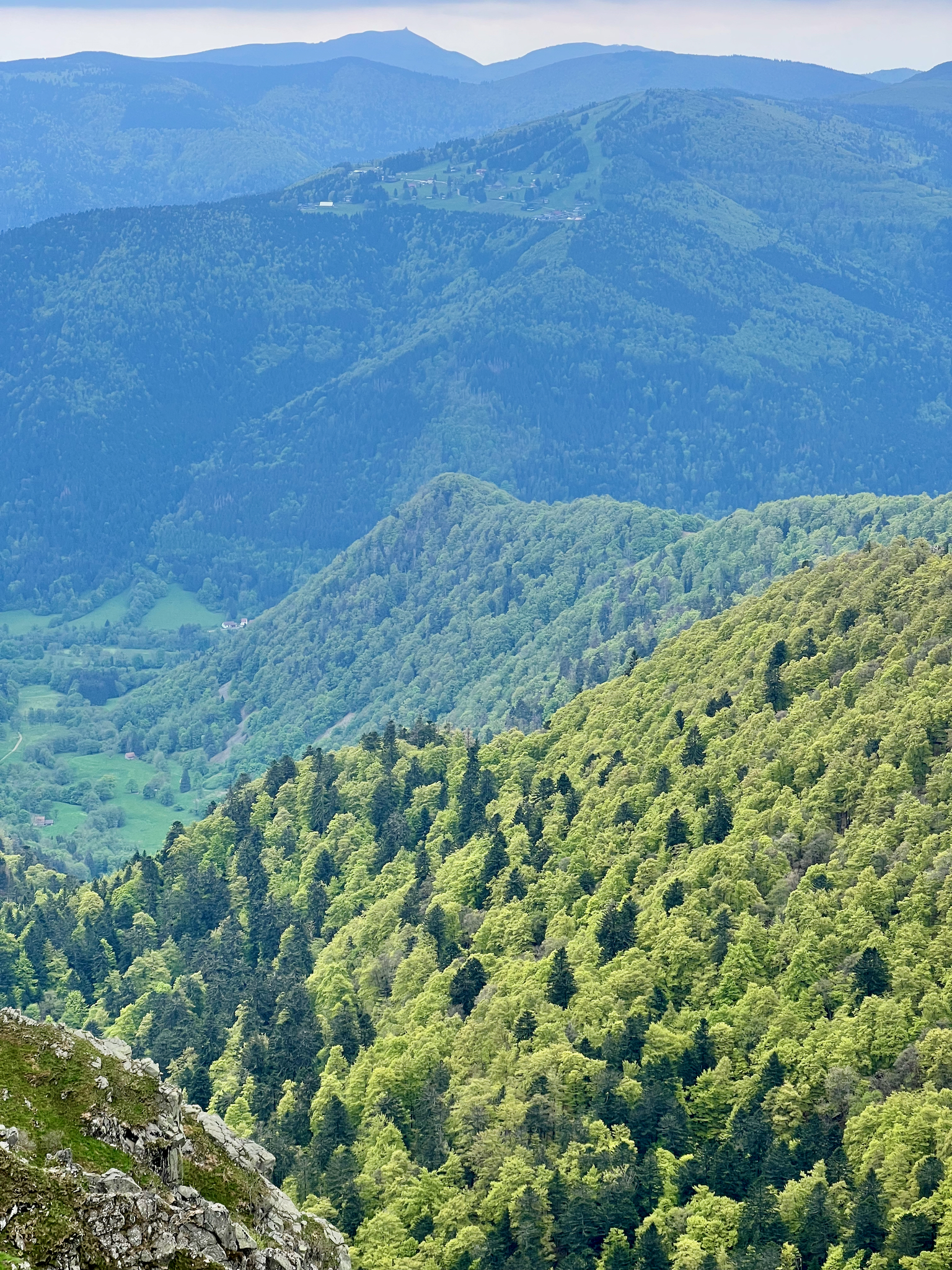 Apple iPhone 13 Pro, 9mm, 1/139s, f/2.8, ISO 32