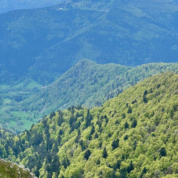 Apple iPhone 13 Pro, 9mm