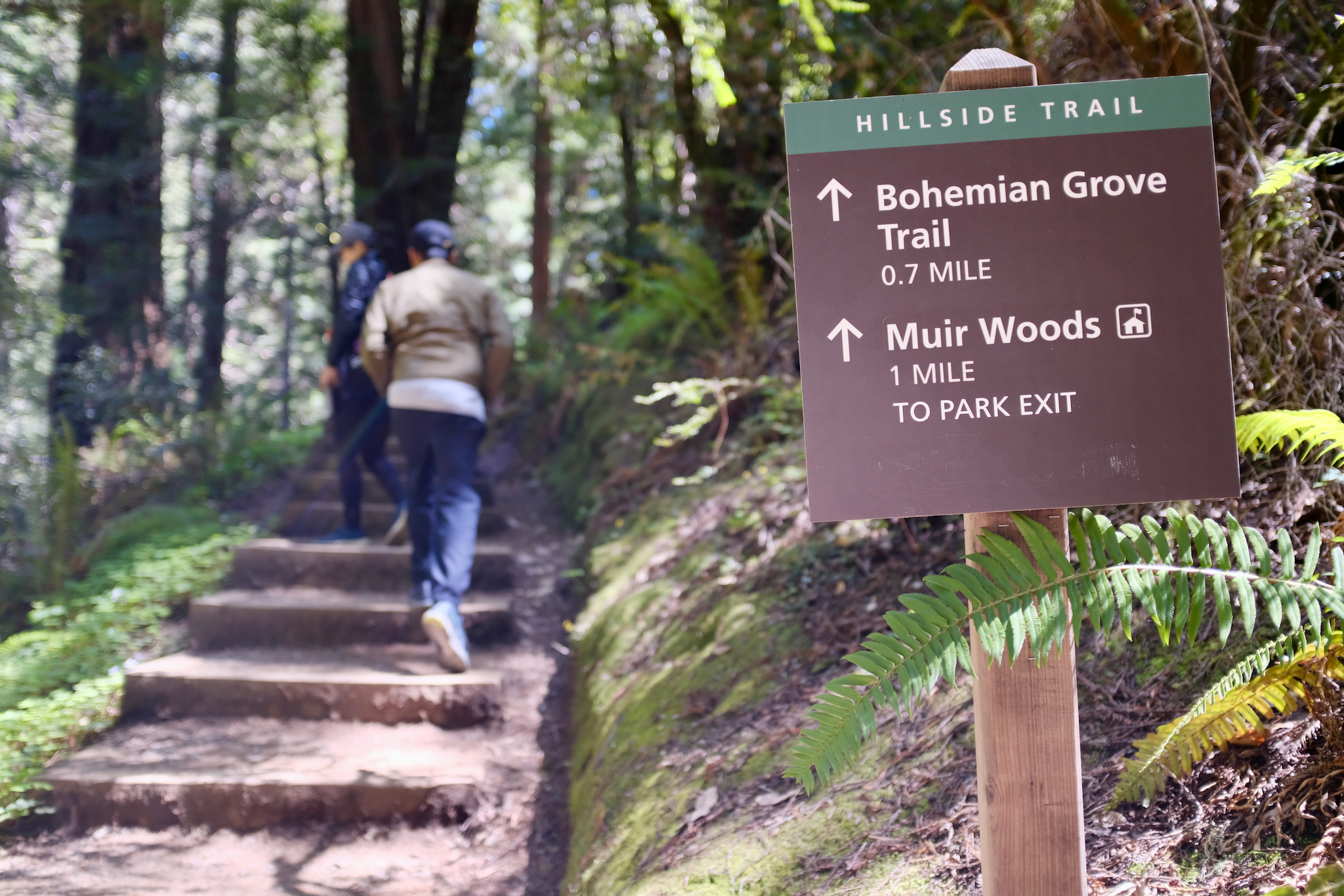 FUJIFILM X100F, 23mm, 1/170s, f/2.2, ISO 400