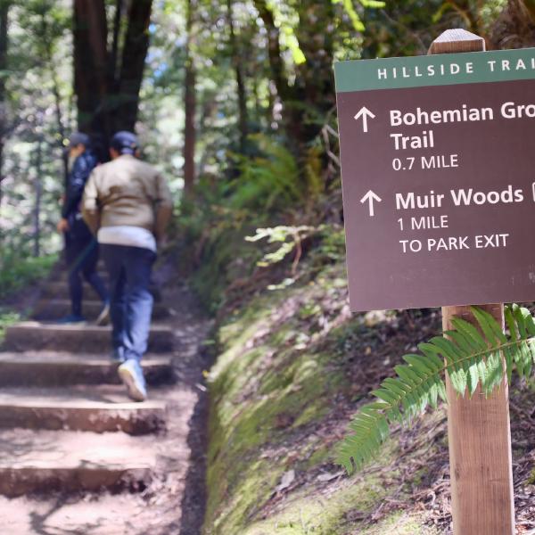 FUJIFILM X100F, 23mm