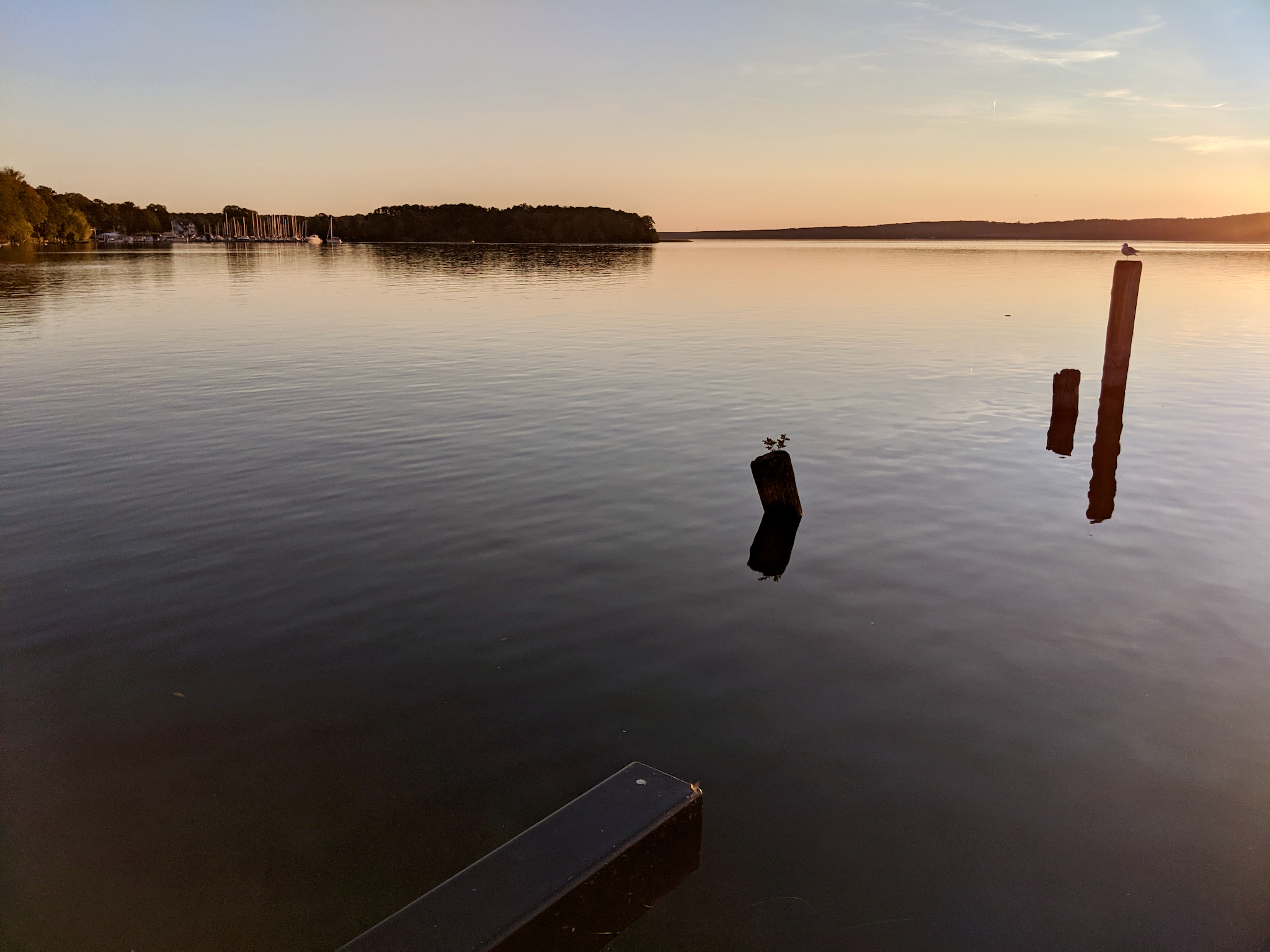 Google Pixel 2, 4mm, 299/1000000s, f/1.8, ISO 61