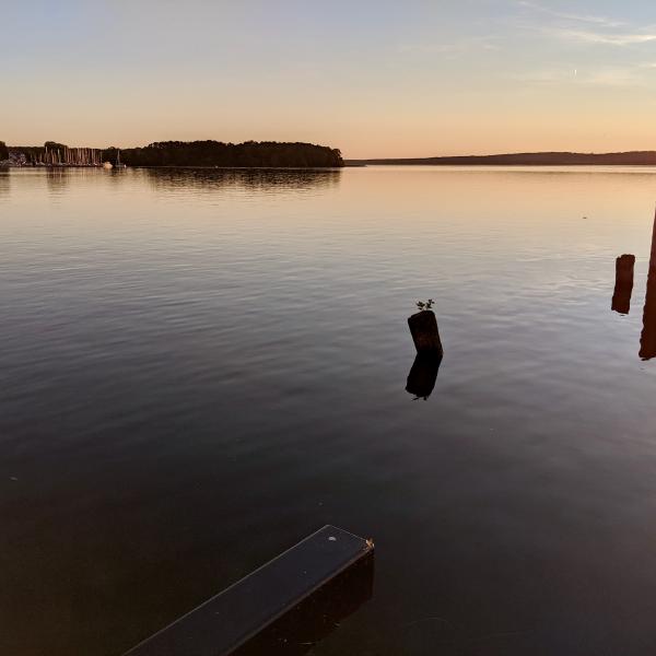 Google Pixel 2, 2221/500mm