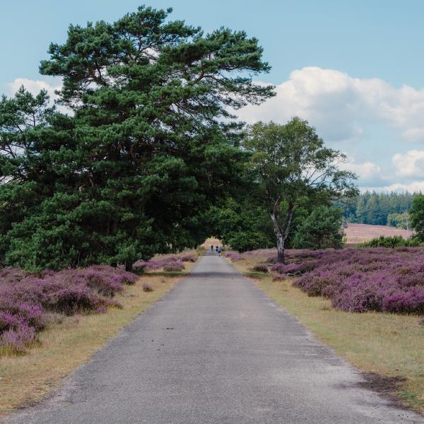 FUJIFILM X-T5, 393/10mm