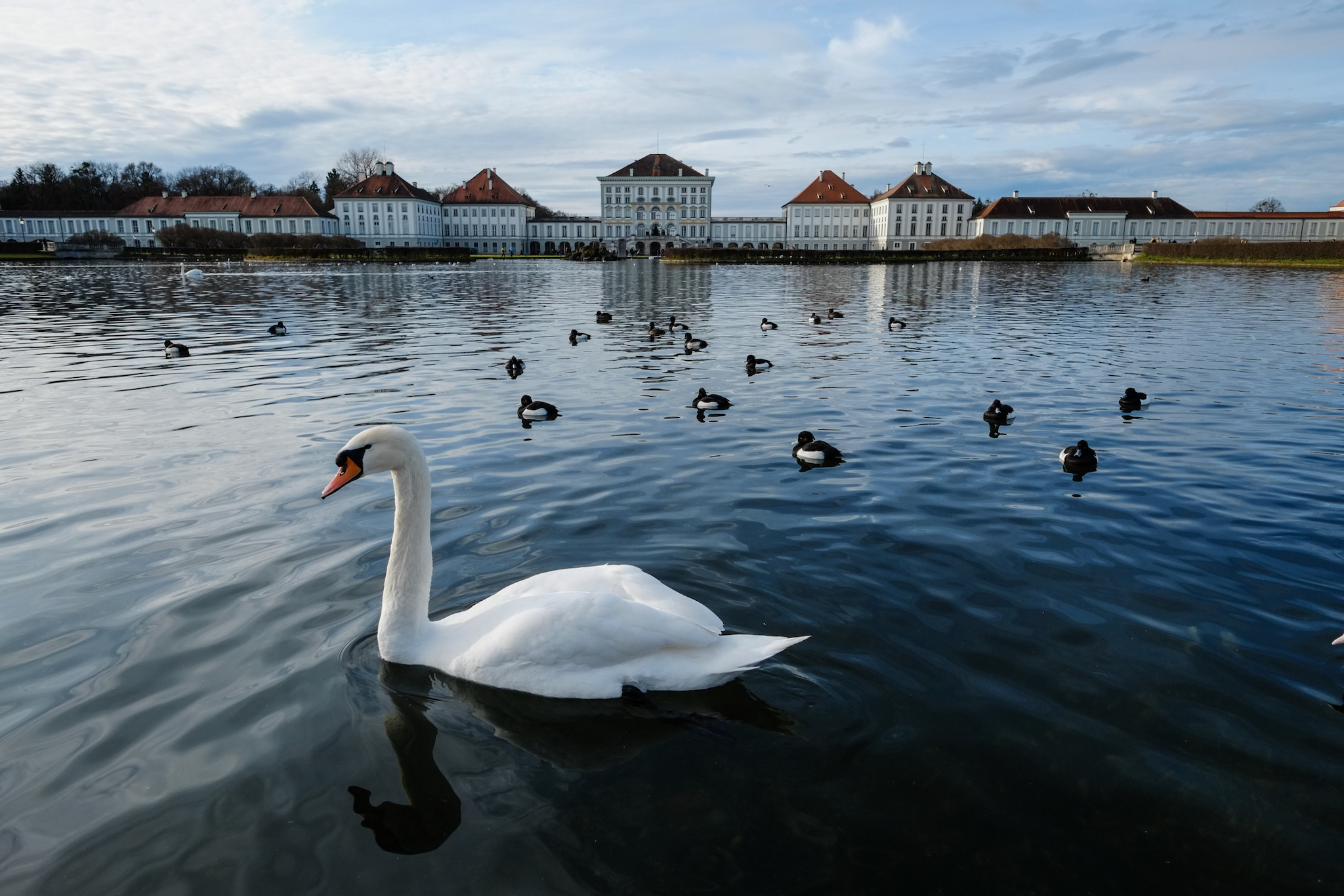 FUJIFILM X-E1, 14mm, 1/1000s, f/5.6, ISO 400